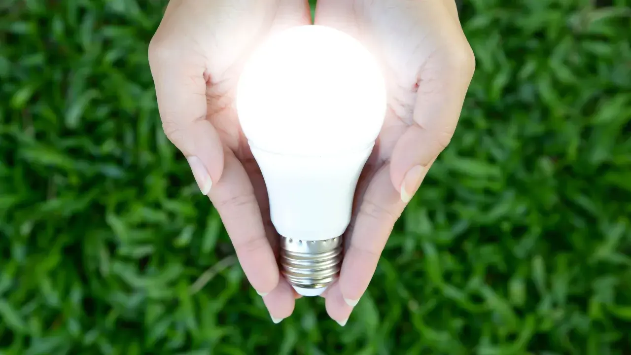 Mains de femme tenant une ampoule flamme torsadée lumineuse, symbole d'une idée brillante et d'énergie verte.