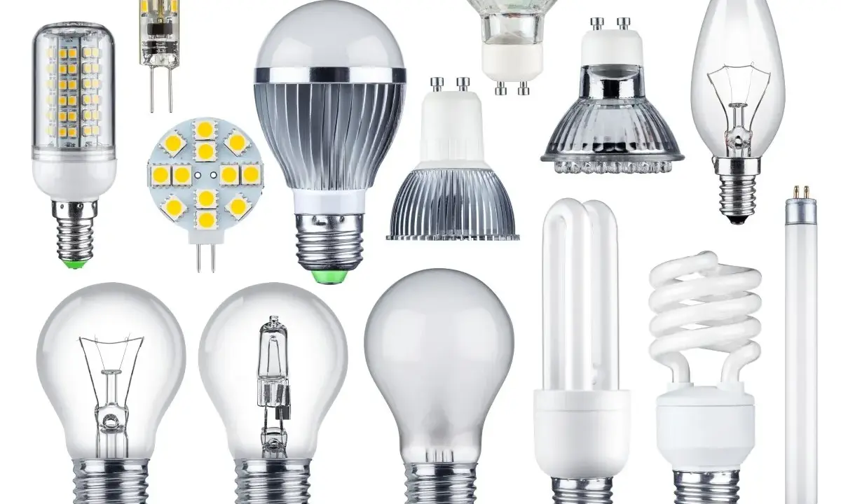 Collection d'ampoules variées, des classiques aux LED, toutes avec leur culot ampoule prêt à éclairer.