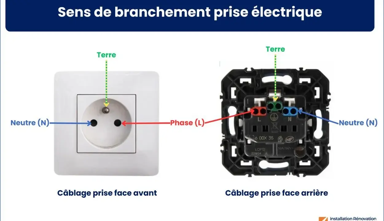 Vue avant et arrière d'un socle de prise électrique, montrant le câblage correct pour la phase, le neutre et la terre.