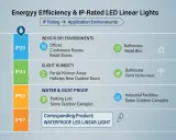 Tableau comparatif des ampoules LED linéaires : l'ampoule IP20 est idéale pour les environnements secs comme les bureaux.