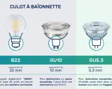 Comparaison des types de culots d'ampoules : à vis (E14, E27), à baïonnette (B22) et à broches (GU10, GU5.3, G4, G9). Le culot, c'est la base qui se visse ou se clipse.