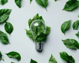 Une ampoule transparente, entourée de feuilles vertes, symbolise une lampe économie d'énergie.