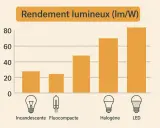 Graphique comparant le rendement lumineux des ampoules. Les LED, avec une consommation led 12v, offrent le meilleur rendement.