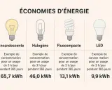 Comparaison de la consommation d'énergie des ampoules : incandescente, halogène, fluocompacte et LED. La LED offre la meilleure efficacité énergétique.