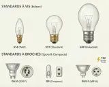Différents types d'ampoules et leurs douilles : E14, E27, E40 à vis, et GU10, G9, GU5.3 à broches.