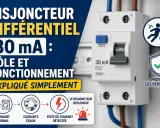 Disjoncteur différentiel 30 mA protégeant des fuites de courant. Il détecte le courant résiduel pour la sécurité des personnes.