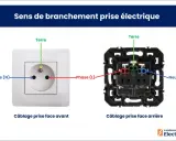Vue avant et arrière d'un socle de prise électrique, montrant le câblage correct pour la phase, le neutre et la terre.