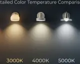 Comparaison de la température de couleur des ampoules LED : de l'ambre chaud (2700K) au blanc froid (6000K).