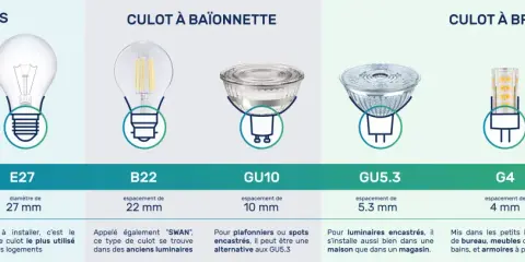 Comparaison des types de culots d'ampoules : à vis (E14, E27), à baïonnette (B22) et à broches (GU10, GU5.3, G4, G9). Le culot, c'est la base qui se visse ou se clipse.