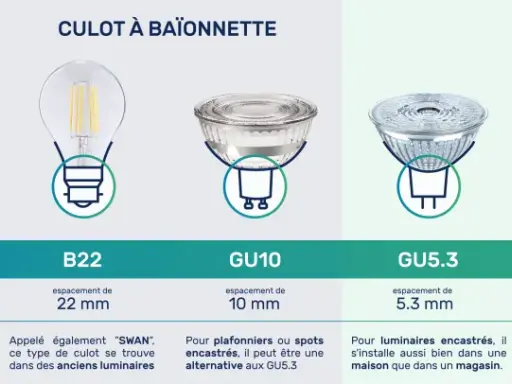 Comparaison des types de culots d'ampoules : à vis (E14, E27), à baïonnette (B22) et à broches (GU10, GU5.3, G4, G9). Le culot, c'est la base qui se visse ou se clipse.