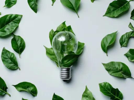 Une ampoule transparente, entourée de feuilles vertes, symbolise une lampe économie d'énergie.