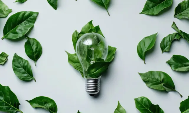 Une ampoule transparente, entourée de feuilles vertes, symbolise une lampe économie d'énergie.