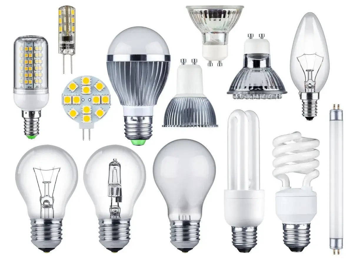 Collection d'ampoules variées, des classiques aux LED, toutes avec leur culot ampoule prêt à éclairer.